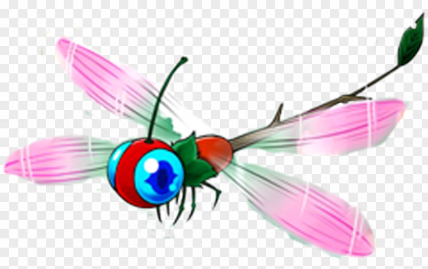 Animated Dragonfly Pictures Insect Butterfly Animation Clip Art PNG