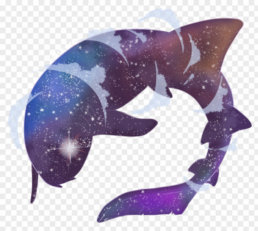 Dolphin Marine Biology Fish PNG