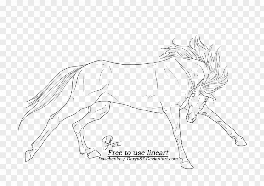 Galloping Horse Arabian Line Art Drawing Wild PNG