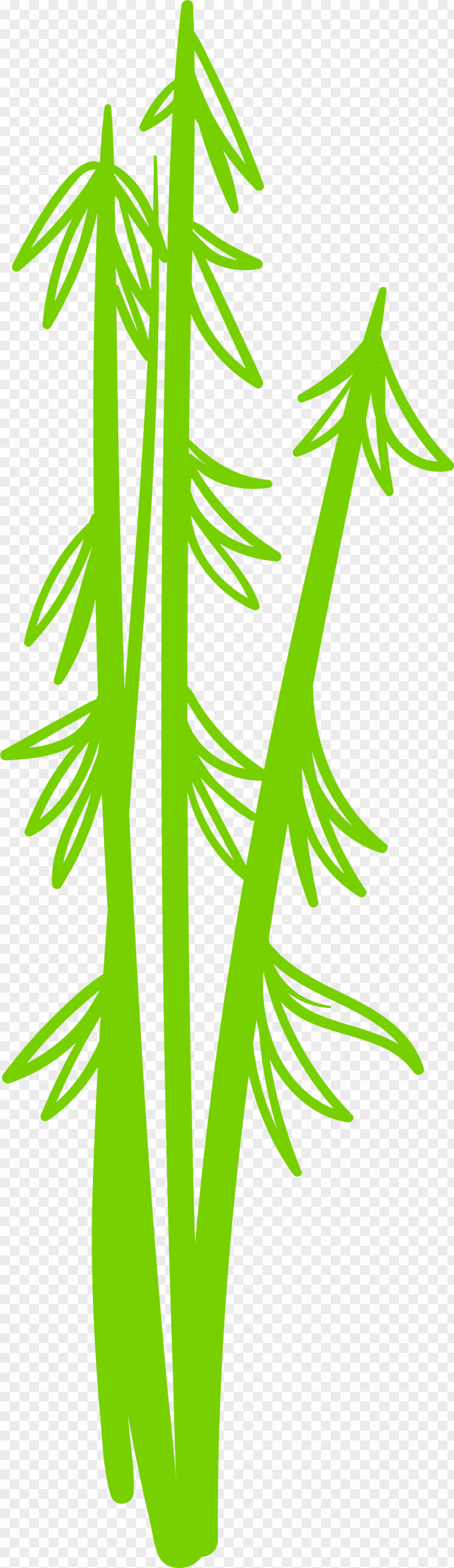 Hand Painted Green Bamboo PNG
