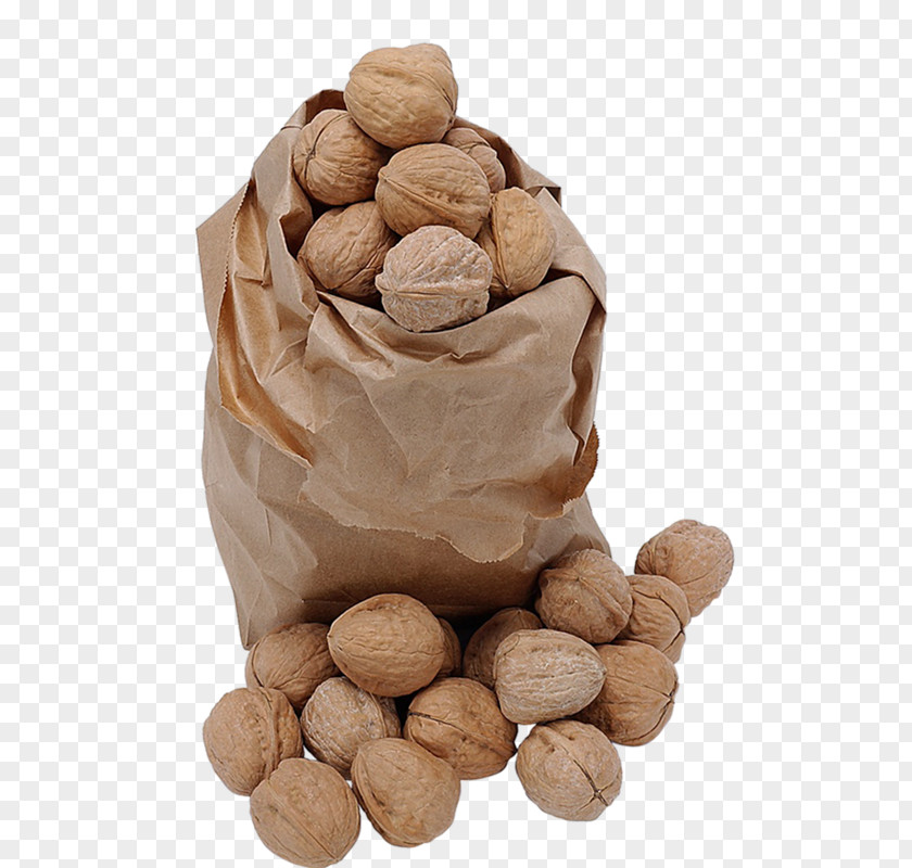 A Bag Of Walnuts Eastern Black Walnut Pine Nut Acorn PNG