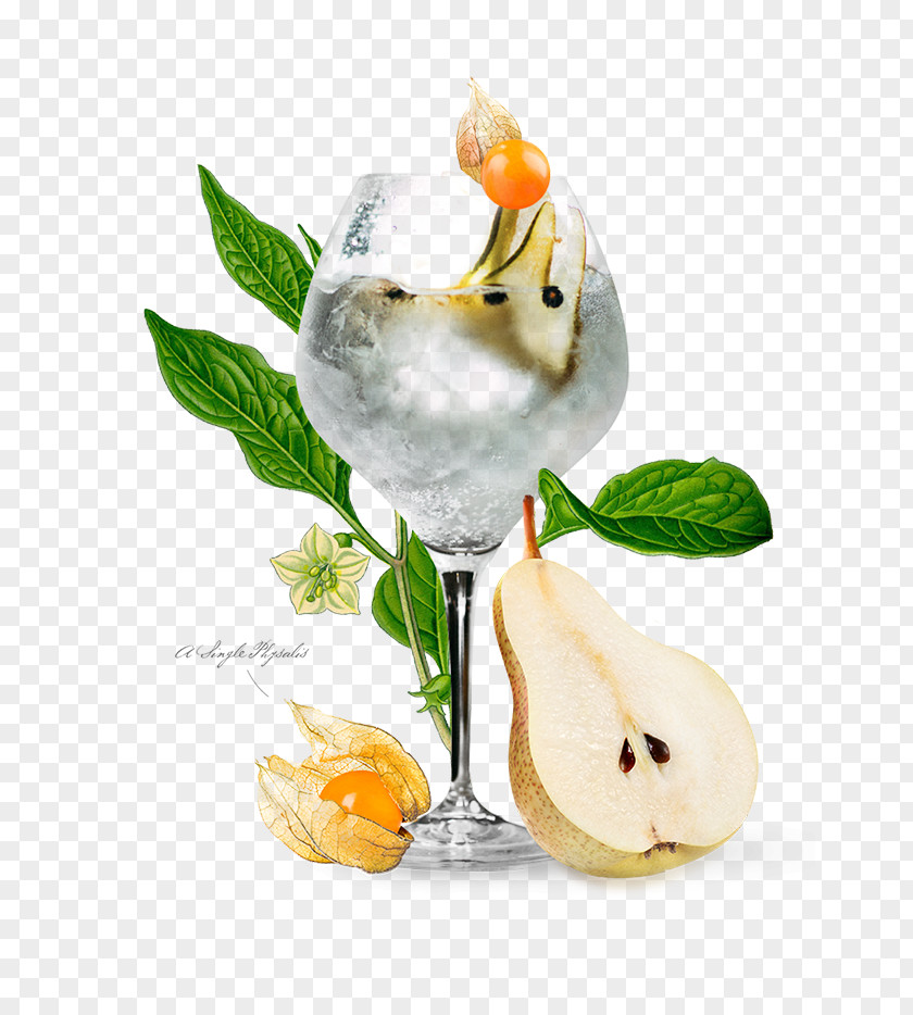 Cocktail Garnish Chinese Lantern Flavor PNG