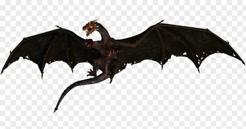 Dragon The Elder Scrolls V: Skyrim – Dragonborn PNG
