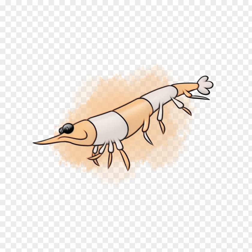 Drawing Insect Cartoon PNG