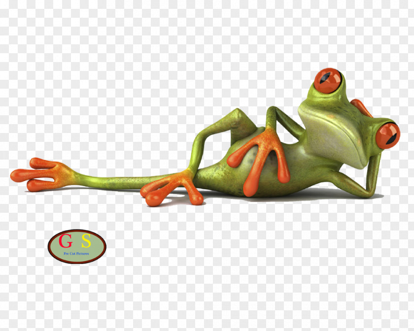 Frog Drawing Desktop Wallpaper PNG