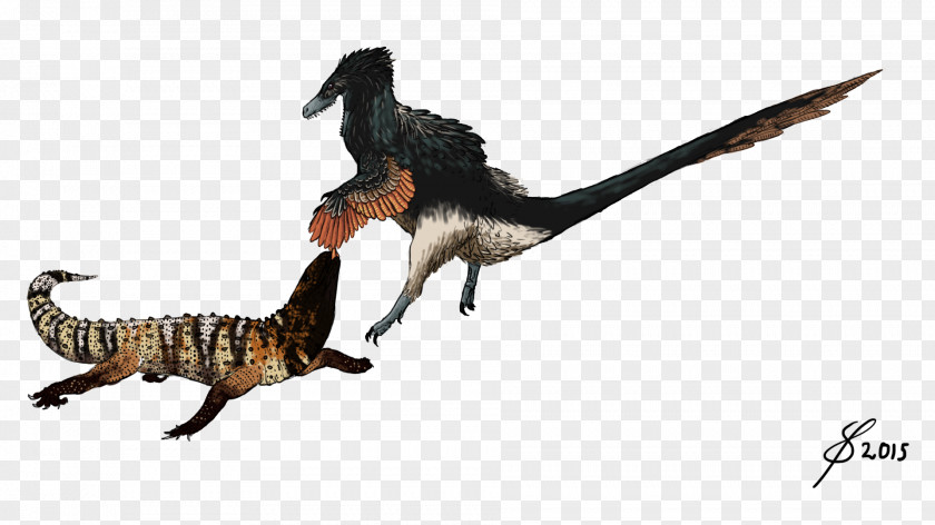 Lizard Velociraptor Acheroraptor Saurian Tyrannosaurus Dakotaraptor PNG