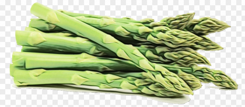 Superfood Leaf Vegetable Asparagus Plant Food Celtuce PNG