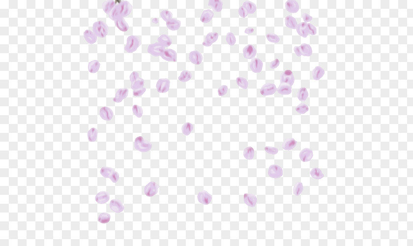 Background Transparent Sakura Petals Hd Cherry Blossom Petal Wall Decal Leaf PNG