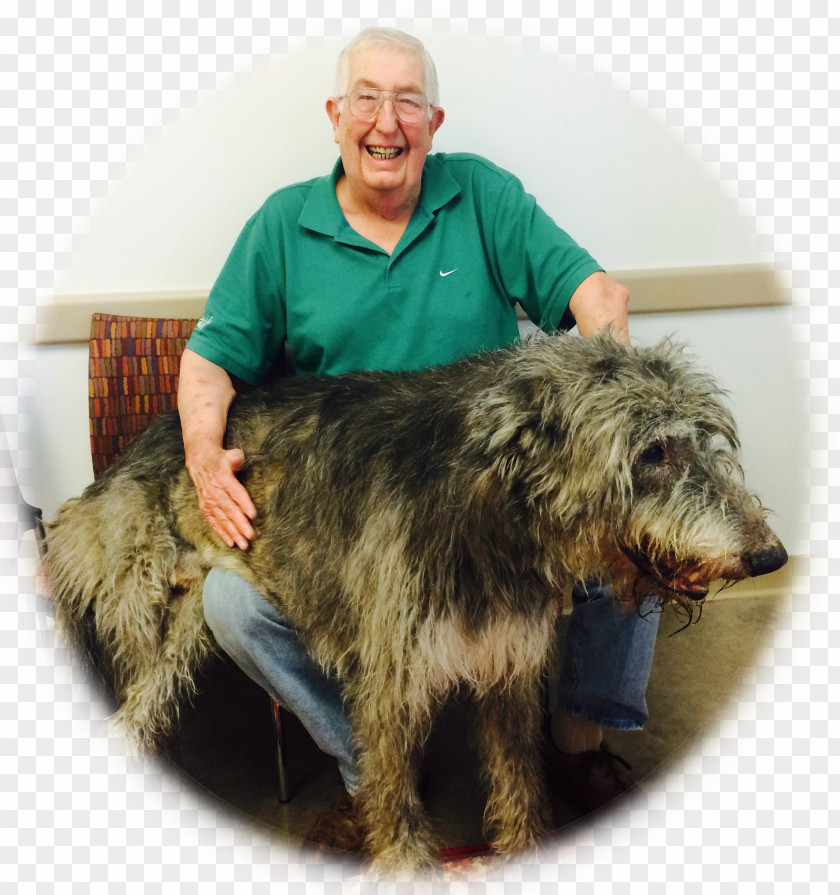 Cancer Patient Glen Scottish Deerhound Irish Wolfhound Bearded Collie Dog Breed PNG