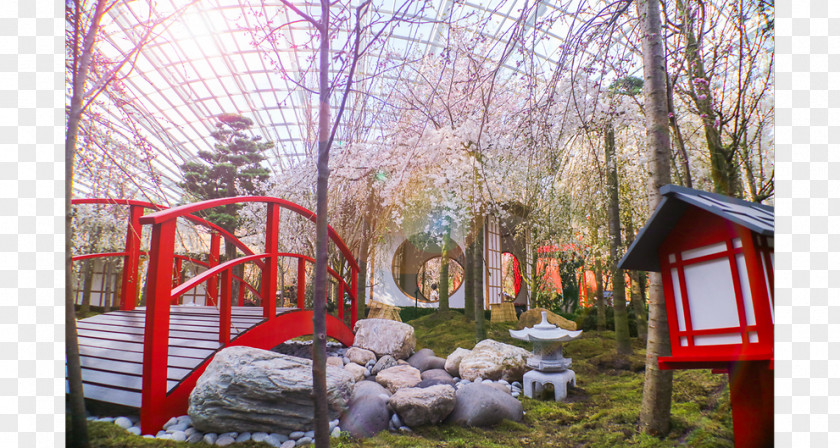 Park Gardens By The Bay Flower Dome Far East Organization Children's Garden PNG