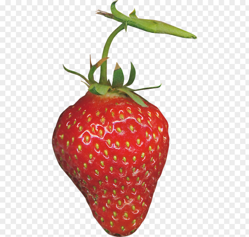 Red Strawberry Aedmaasikas PNG