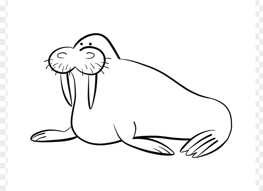 Walrus Pictures Wally Coloring Book Cuteness Clip Art PNG