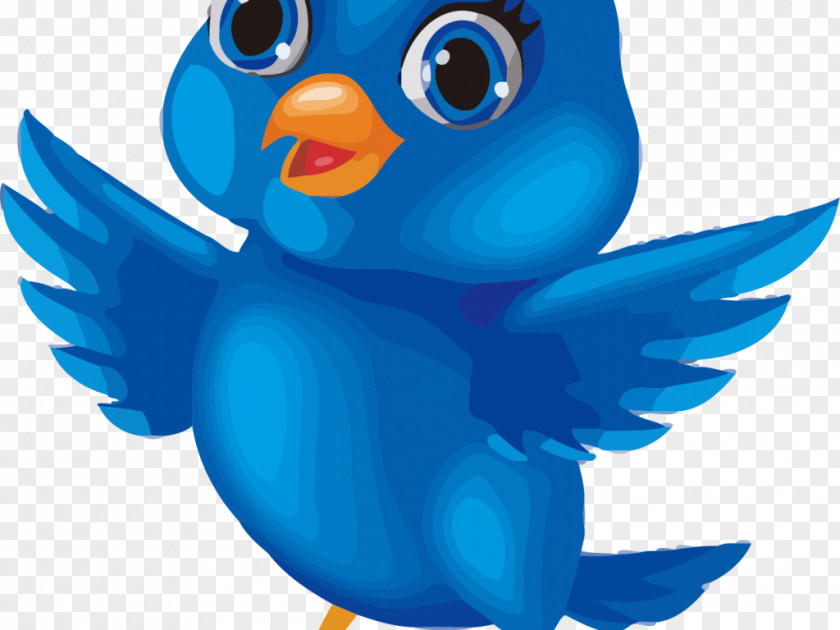 Bird Bluebirds Tweety Clip Art PNG