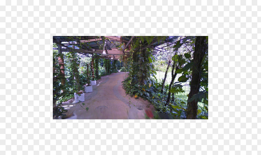 Hollywood Hills Sign Lake Gardens, Kuala Lumpur IFit Botanical Garden Treadmill PNG