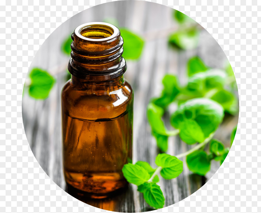 Oil Peppermint Mentha Spicata Essential Aromatherapy PNG