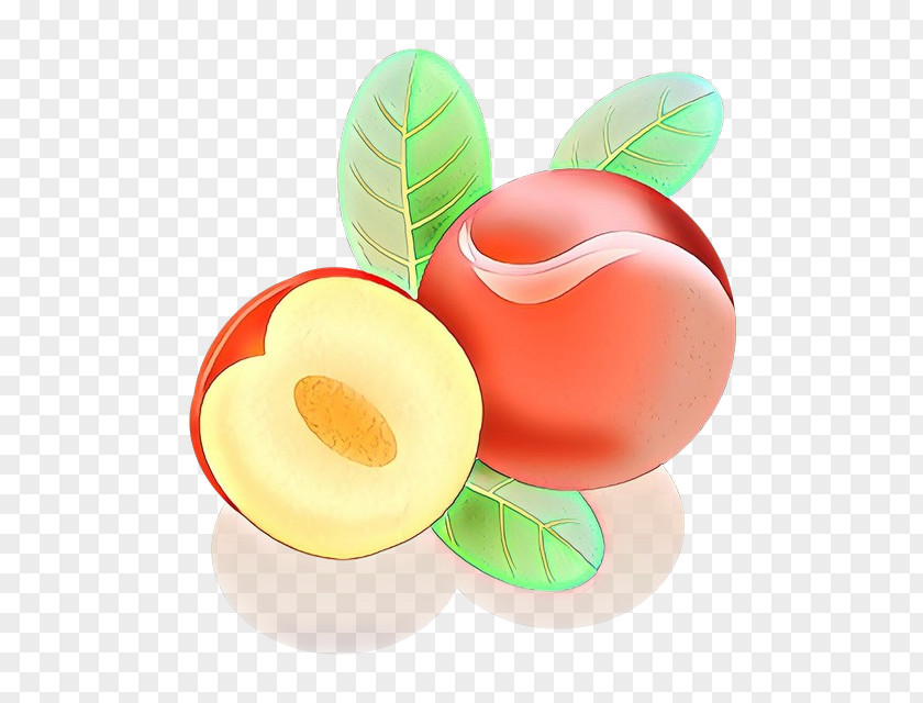 Plant Fruit Food Clip Art PNG