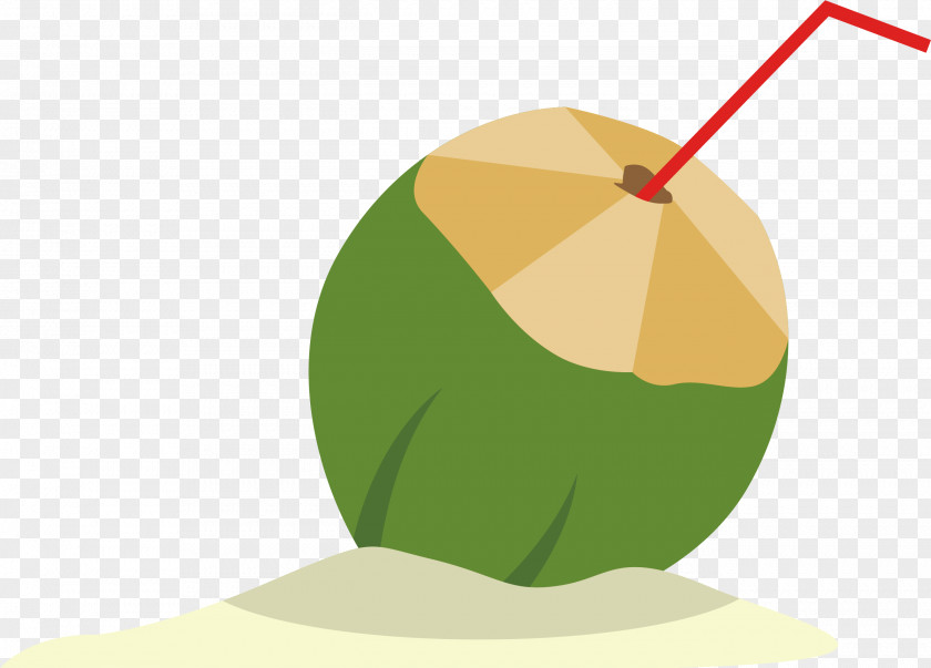 Vector Coconut Drink Milk Water PNG