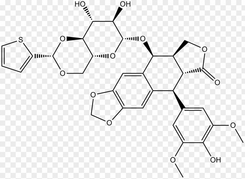 Agonist Receptor Topoisomerase Inhibitor Teniposide Type II Enzyme PNG