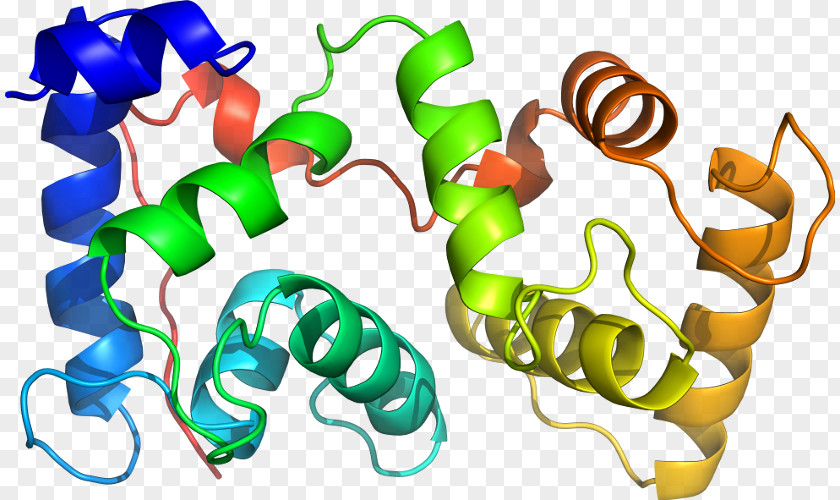 Calcium Chlorine Atom Diagram Clip Art Thale Cress Plants Chlamydomonas Reinhardtii Genome PNG