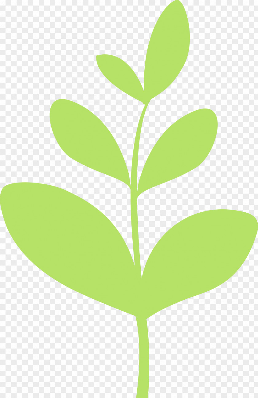 Leaf Green Plant Flower Tree PNG