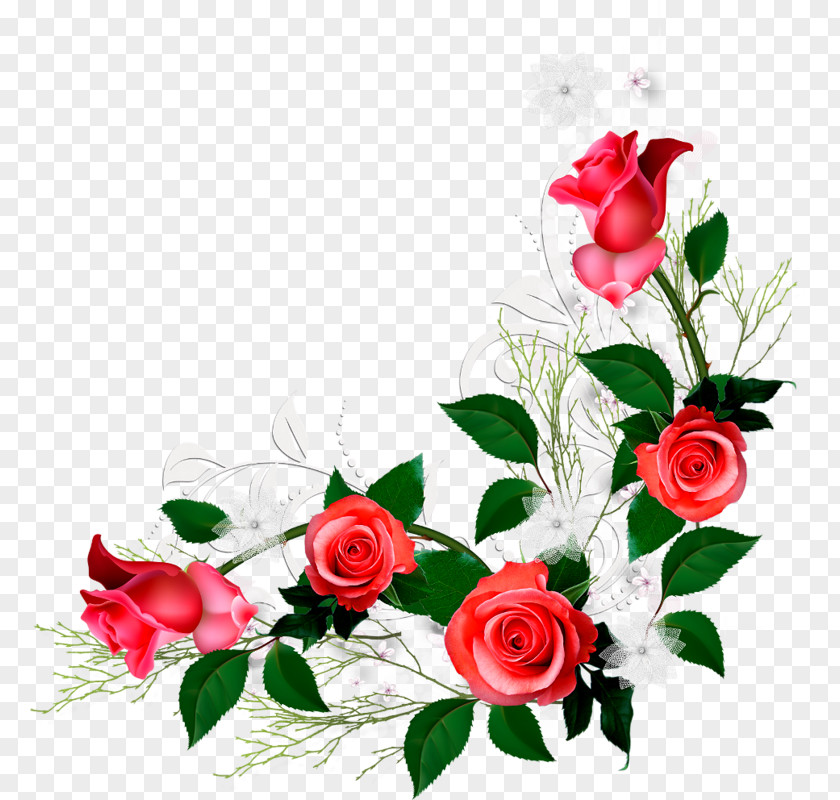 Rosas Vermelhas Garden Roses Love Flower Floral Design Religious Text PNG