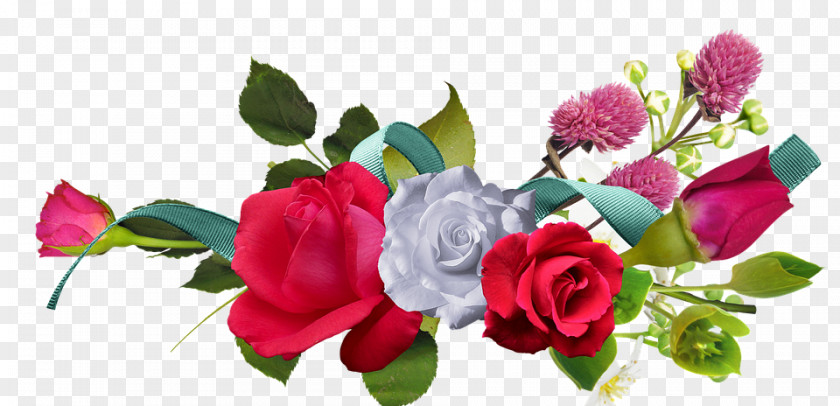 Rose Clip Art Flower Red PNG