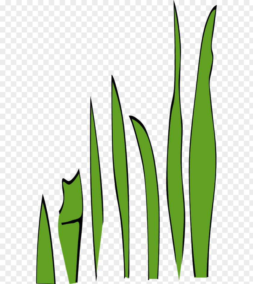 Cartoon Pictures Of Grass Clip Art PNG