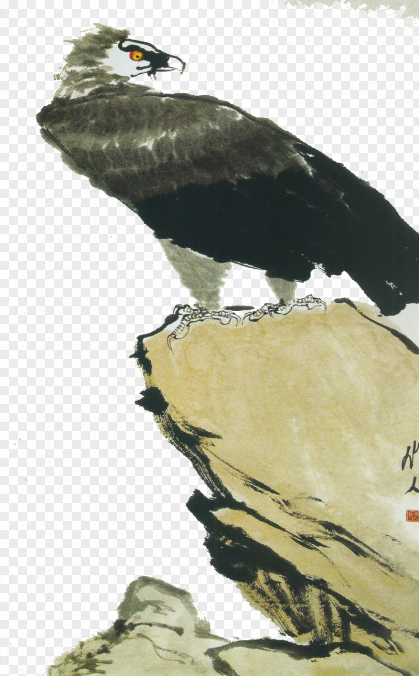 Eagle Chinese Painting Bird-and-flower Ink Wash PNG