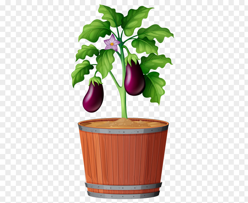 Flowerpot Plant Flower Leaf Tree PNG