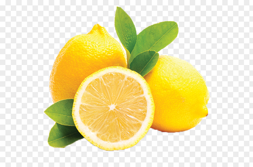 Lemon Mayorazgo Export S.L. Agesco SL Sorbet Fruit PNG