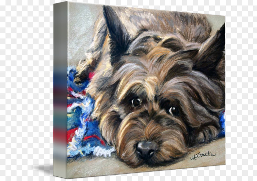 Mary Sparrow Painting Yorkshire Terrier Cairn Australian Silky West Highland White PNG