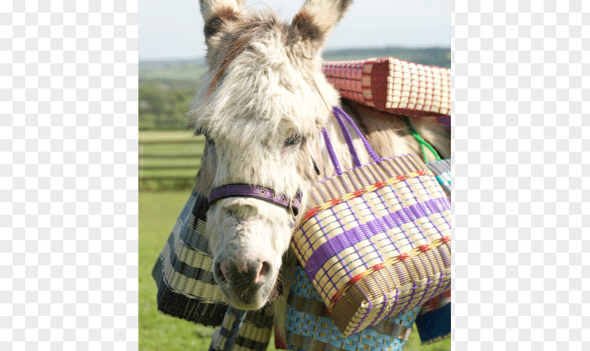 Plastic Basket Recycling Halter PNG