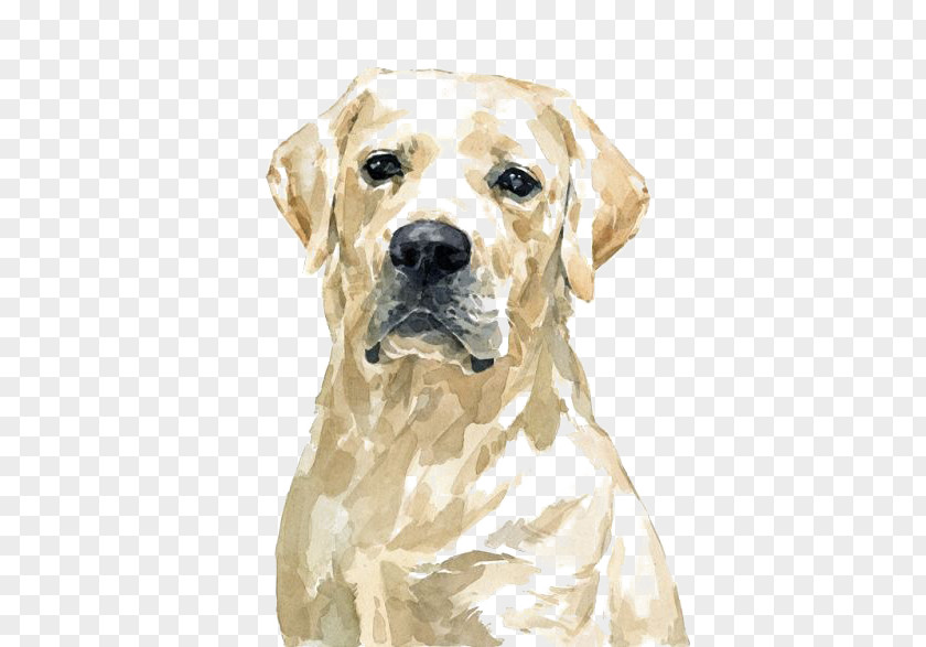 Watercolor Golden Retriever Dog Labrador Pit Bull Painting PNG