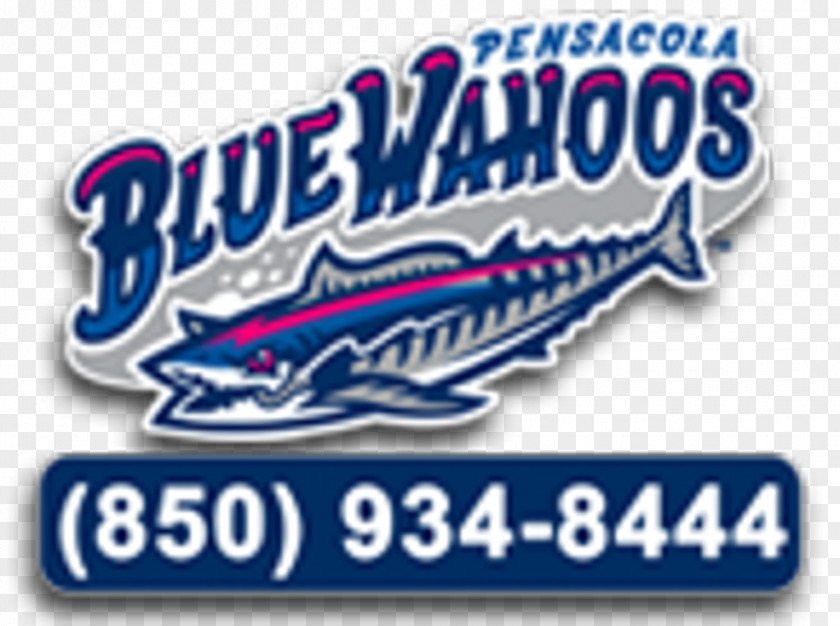 Baseball Admiral Mason Field Pensacola Blue Wahoos Cincinnati Reds Minor League PNG