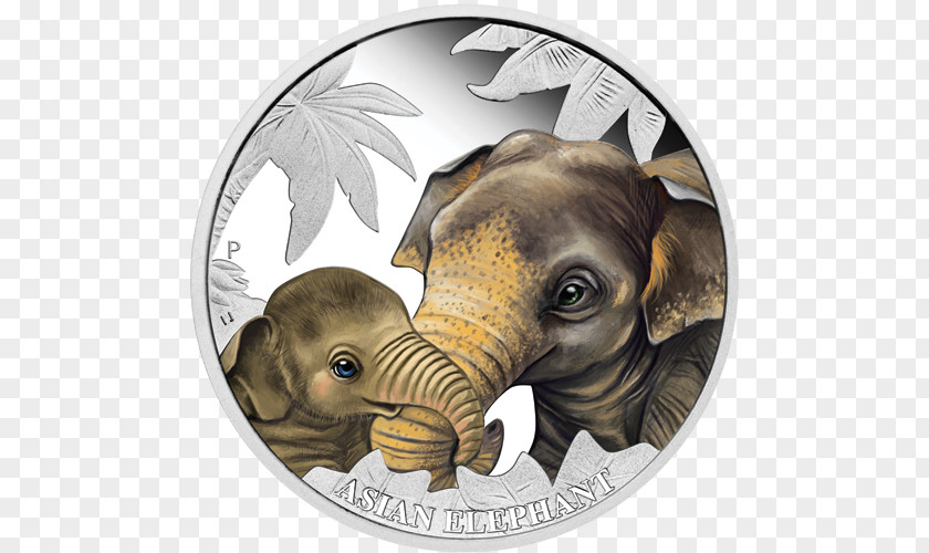 Coin Commemorative Perth Mint Tuvalu Indian Elephant PNG