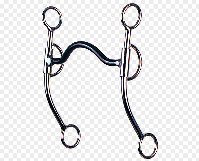 Horse Bit Sweet Iron Tack Equestrian PNG