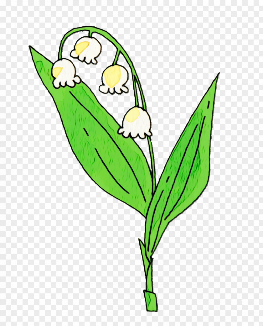 Leaf Plant Stem Character Cartoon Green PNG