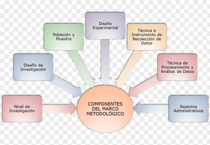 Metodologia Brand Organization Diagram PNG