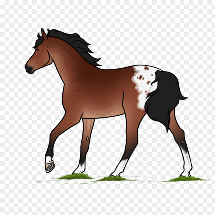 Mustang Foal Stallion Mare Bridle PNG