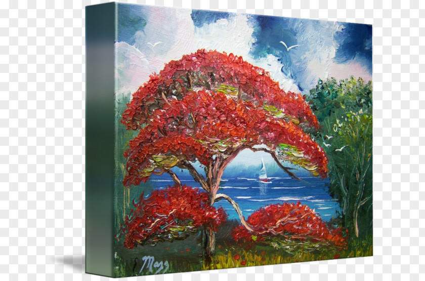 Tree Royal Poinciana Artist Oil Painting Reproduction PNG