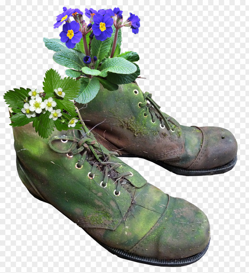 Window Flower Boxes Ideas Flowerpot Boot Shoe Plants PNG