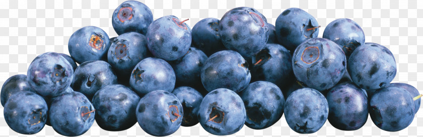 Blueberries Frutti Di Bosco European Blueberry PNG