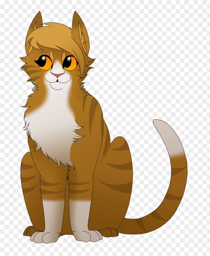 Kitten Whiskers Gray Wolf Cat Red Fox PNG