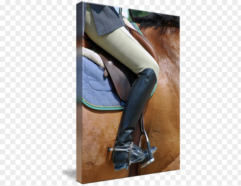 Riding Boots Bridle Boot Equestrian Saddle Rein PNG