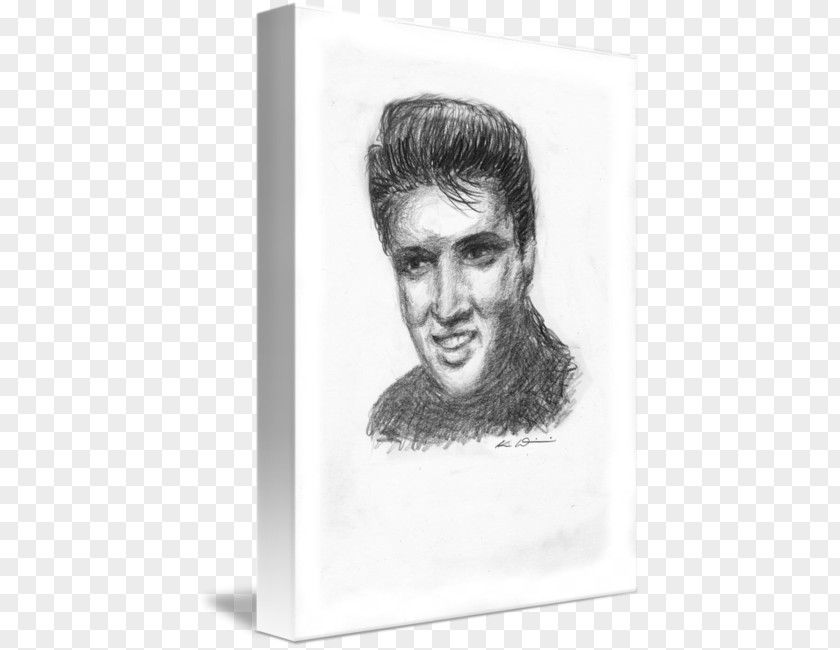 Elvis Presley Figure Drawing Forehead Jaw Sketch PNG