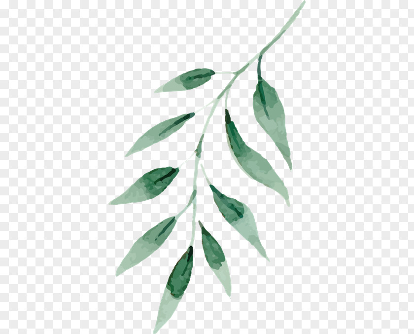 Geo Filter Watercolor Painting Drawing Green Leaf PNG