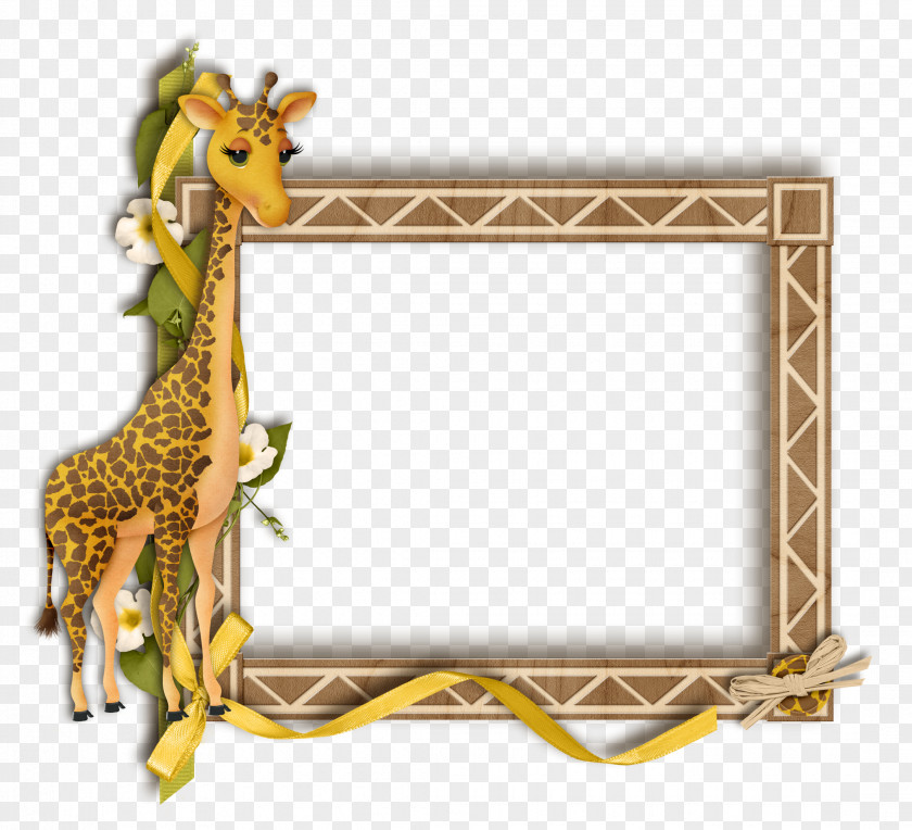 Gif Giraffe Photography Picture Frames PNG