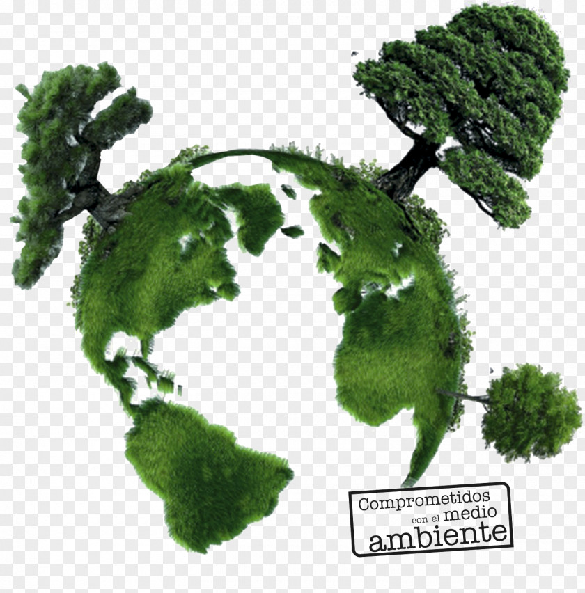 Natural Environment Environmentally Friendly Desktop Wallpaper Earth Recycling PNG