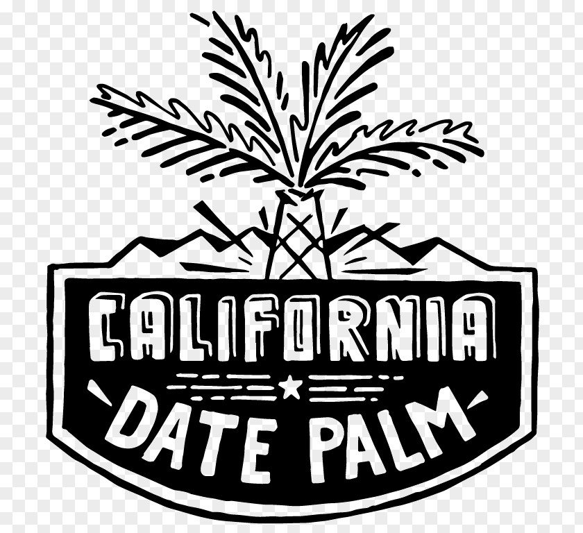 Phoenix Roebelenii Pygmy Date Palm Indoor Logo Clip Art Brand Tree Font PNG