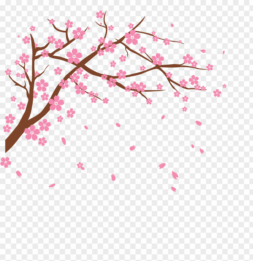 Vector Cherry Blossom Clip Art PNG